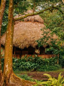 que es un ecolodge