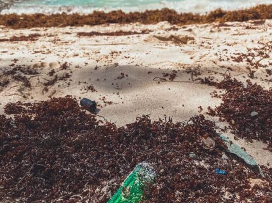 turismo ecologico samana republica dominicana