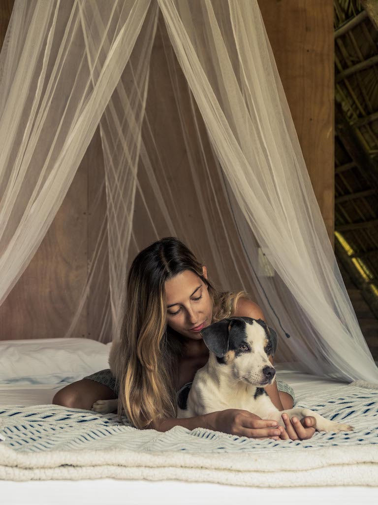 Samaná hoteles pet friendly