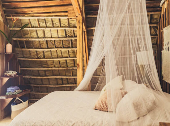 ecolodge-samana-blog